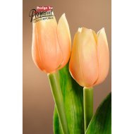 Tulipán broskvový 40 cm F244-A