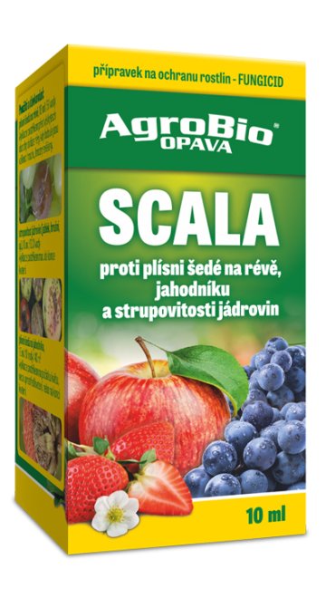 SCALA - 10 ml